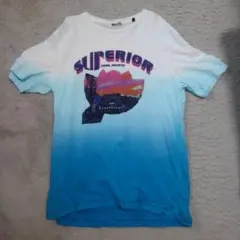 DIESEL Tシャツ　Lサイズ