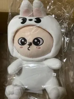 Seungmin PuppyM 抱きぬいぐるみ&うちわカバーセット - メルカリ