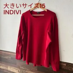 J♦︎インディヴィ 大きいサイズ15号　コンビニット　赤