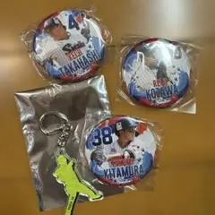 東京ヤクルトスワローズ　選手フォト缶バッジ、シルエットキーホルダーのサムネイル