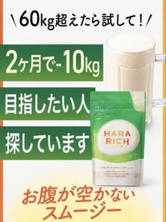 HARA RICH ハラリッチ ヨーグルト風味 2袋セットのサムネイル