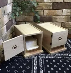 Item thumbnail for item 65726946-4617-4a12-8955-4d385e37d387