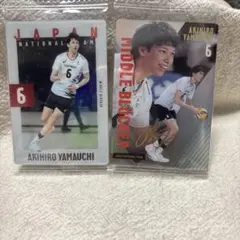 Item thumbnail for item b3577b04-84d1-484b-91a7-4675743a6b9b