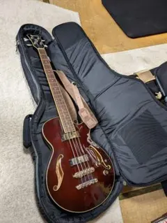 s*9様 レア IBANEZ AG-85-TRD コンパクト フルアコ 美品 - メルカリ