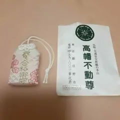 Item thumbnail for item d98fb395-3cdb-4420-9d05-5ef44eefb9df