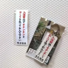 Item thumbnail for item 51fd4e7c-1d92-4c14-a262-84dc0a365051