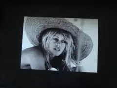 A4 額付き ポスター Brigitte Bardot ブリジットバルドー 砂浜