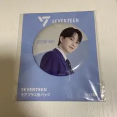 SEVENTEEN JEONGHAN 缶バッジ