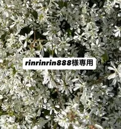 rinrinrin888様専用