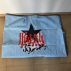 サザンオールスターズ 35周年記念 ポンチョ