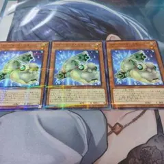 フォーマットスキッパー　ノーパラ×3