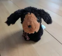 ジョイフルメイト　　TAKENOKO ダックスフンド　おすわり