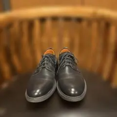 Item thumbnail for item 5f2d228c-2595-424e-a25a-1b06c0c7065d