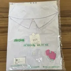 Item thumbnail for item 94b0b3da-9d09-45e0-84c5-ee4f794402d8