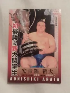 Item thumbnail for item 2878ebbf-ba80-4ce2-84fd-ed7dbfa378f3