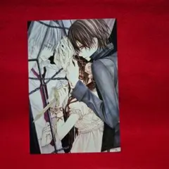 樋野まつり☆ヴァンパイア騎士】非売品「A4クリアファイル」 - メルカリ