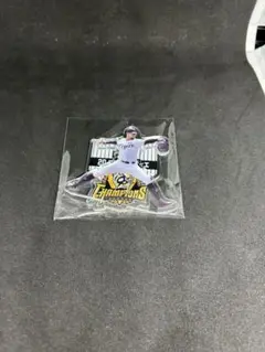 阪神タイガース アクスタくじ デュプランティエ