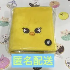 スキズ　ポップアップ　フォトカード　フィリックス　ポガリ