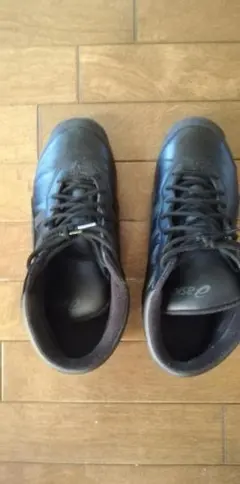 Item thumbnail for item 79f92bd8-0e0a-402a-b609-3d81f1316093