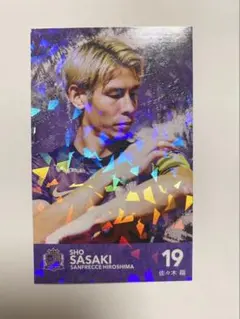 サンフレッチェ広島 スポーツカード