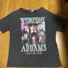 ZARA ウエンズデーTシャツ