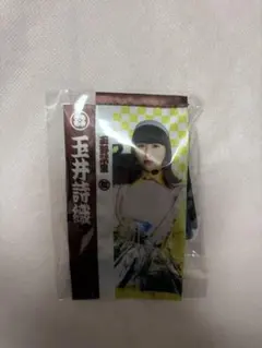 Item thumbnail for item 8b6c354a-3757-47c3-a019-9d0f92192407