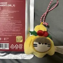 BOYNEXTDOOR オーナメント　popup プネクド　リウ　ダーリン