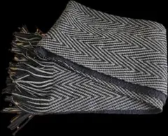 Item thumbnail for item c178081d-421f-43af-a586-0ee1f11ac78d