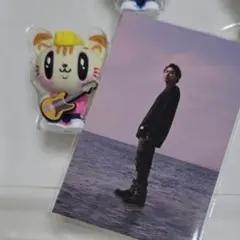 GENERATIONS 小森隼 フィギュアジェ猫 6IX PIECE トレカ