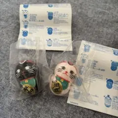 新品未開封 BEAMS JAPAN別注 クーナッツ 2025年最新】クーナッツ japanの人気アイテム - メルカリ