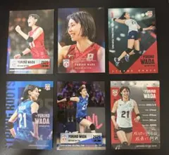 エポックバレーボール女子日本代表 2025 和田由紀子 レギュラーカード