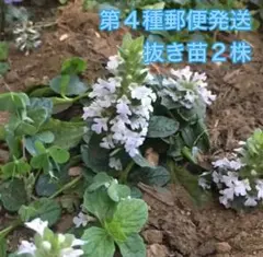 mokomoko様 リクエスト 6点 まとめ商品