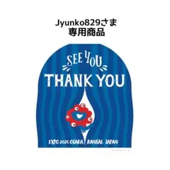 Jyunko829様 リクエスト 2点 まとめ商品