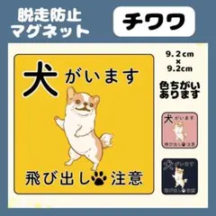 【チワワ】マグネット　飛び出し注意　犬がいます　玄関　注意　脱走防止