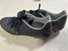 モナルシーダ　NEO2PRO