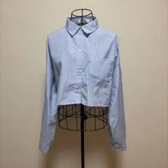 長袖シャツ　ショート丈　ボリューム袖　フリーサイズ　水色×白　ストライプ　春秋