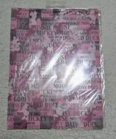 ディズニー　シルエット柄　見開きクリアファイル