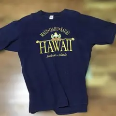JERZEES HAWAII プリント Tシャツ XLサイズのサムネイル