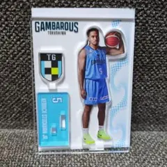 徳島ガンバロウズ 5 KJ 新品未使用