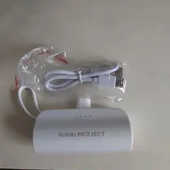 RINRI PROJECT 充電器 PSEマーク有り　中古品ではないです