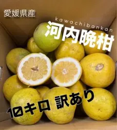 河内晩柑　不揃い　訳あり　10キロ　箱込みのサムネイル