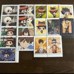 沢田綱吉 リボーン ぱしゃこれ