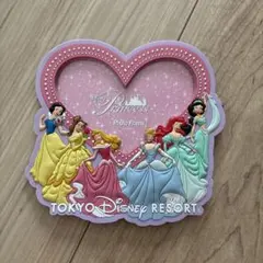 東京ディズニーリゾート ディズニープリンセス フォトフレームのサムネイル