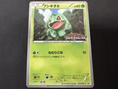 フシギダネ PROMO BW-Pプロモカード 124/BW-P - メルカリ