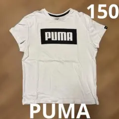 PUMA プーマ　ホワイト Tシャツ 150のサムネイル