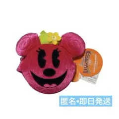 未使用ディズニー ハロウィン 2010 ミニー　ミラー　キーホルダー　ポーチ即日
