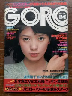 yakonyan3995様 リクエスト 2点 まとめ商品