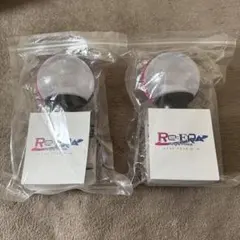 Re:ERA king&prince ペンライト 2個セット