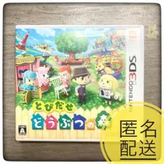 手*5様 【匿名配送】とびだせどうぶつの森　④ ソフト　パッケージ込み