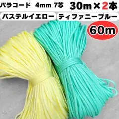 Item thumbnail for item b6424019-95ed-44c8-b95b-1baa7e0ccf26